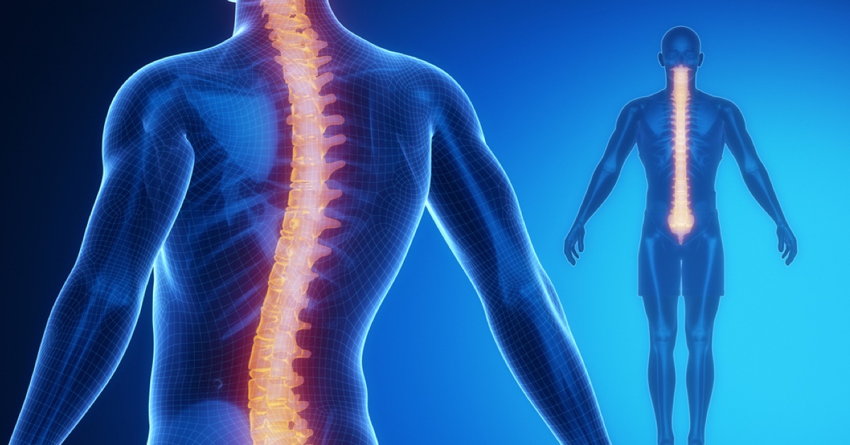 What Happens If Your Spinal Cord Is Damaged 